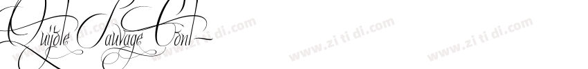 Quijote Sauvage Cont字体转换